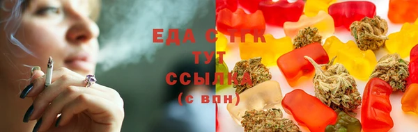 стаф Белокуриха