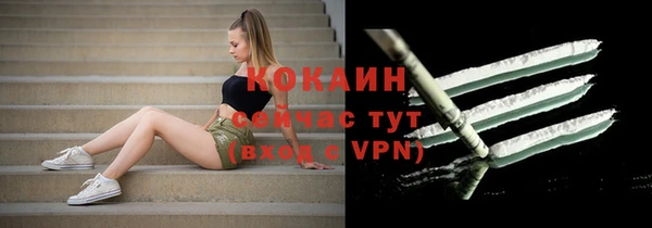 стаф Белокуриха