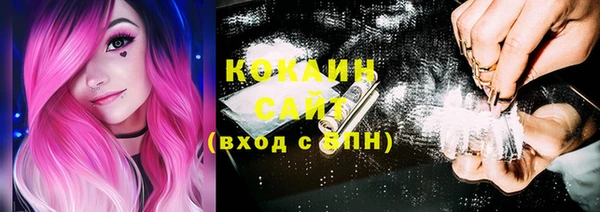 стаф Белокуриха