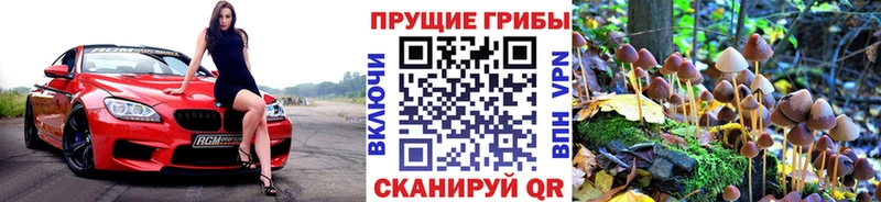ссылка на мегу ссылки  Минеральные Воды  Псилоцибиновые грибы мухоморы 